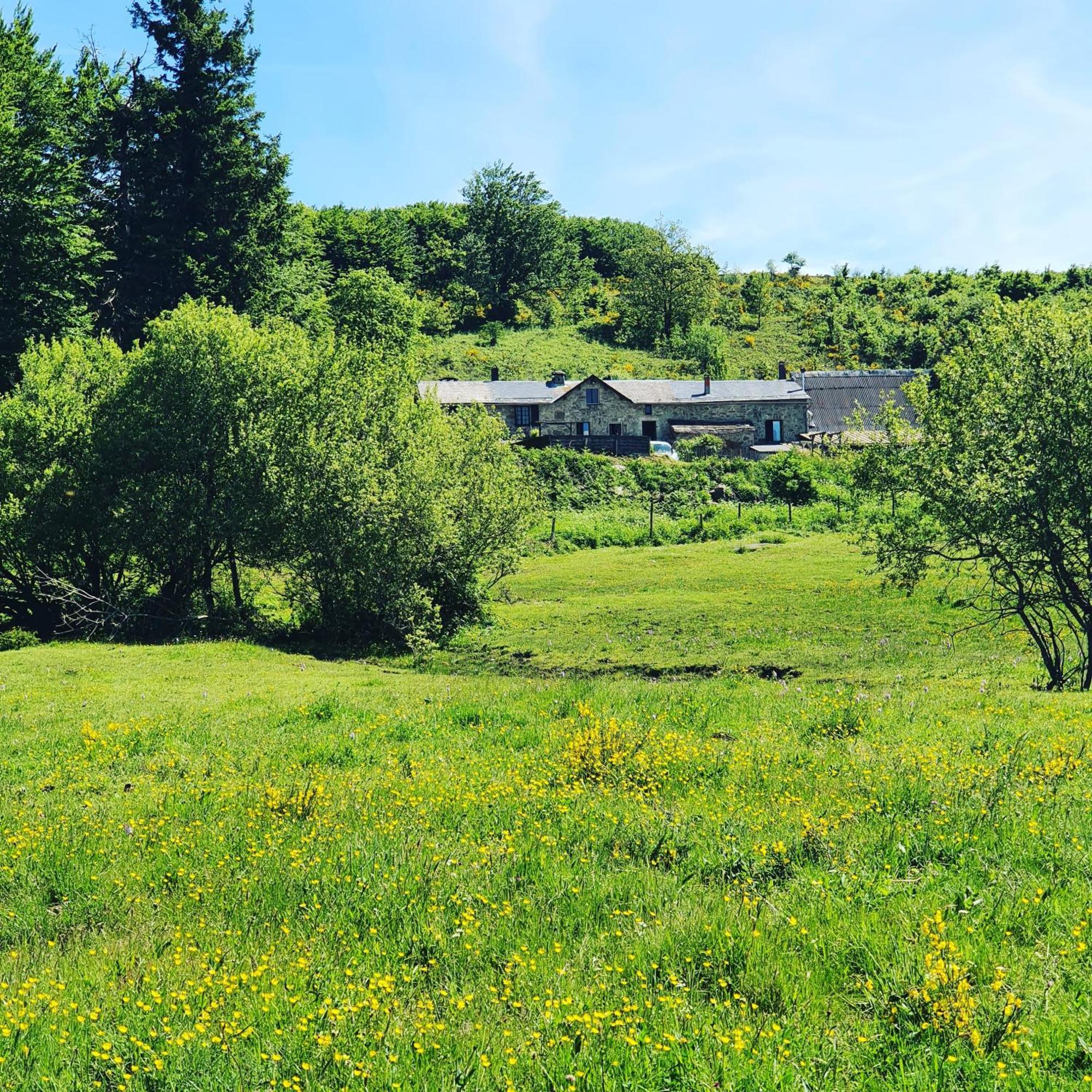 Ranch Du Haut-Languedoc La Salvetat-sur-Agout Luaran gambar